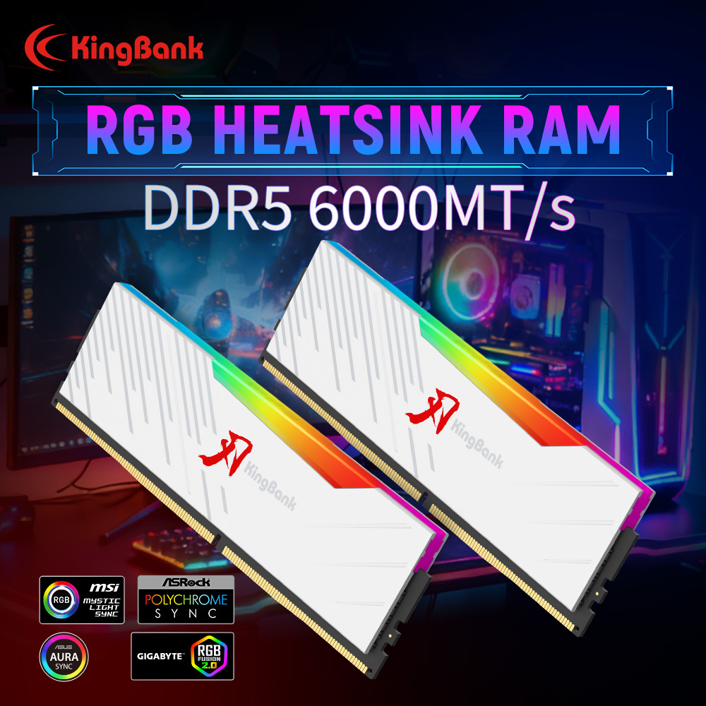 KINGBANK KRRW DDR5 RGB RAM 16G - Ddr5 16Gb 6000Mhz 评论和价格