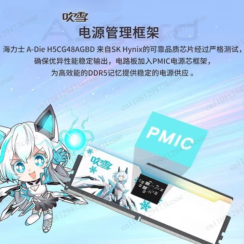for Chuixue Co-Branded DDR5 DD - Ddr5 64Gb 评论和价格