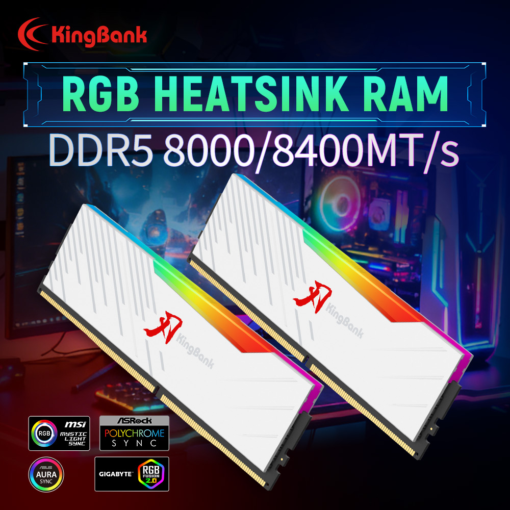 KINGBANK KRRW DDR5 RAM 48GB (2 - Ddr5 4800Mhz 评论和价格