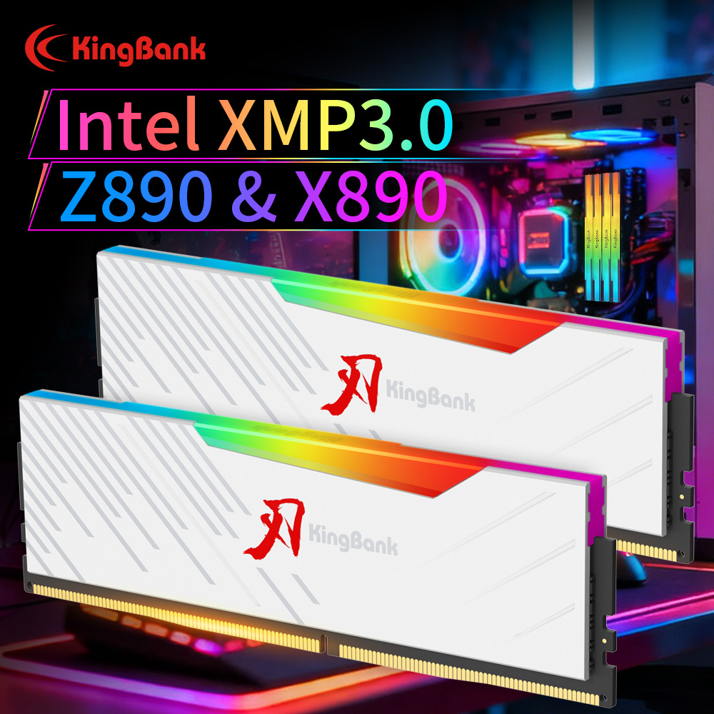 KINGBANK KRRW DDR5 RAM 48GB (2 - Ddr5 4800Mhz 评论和价格